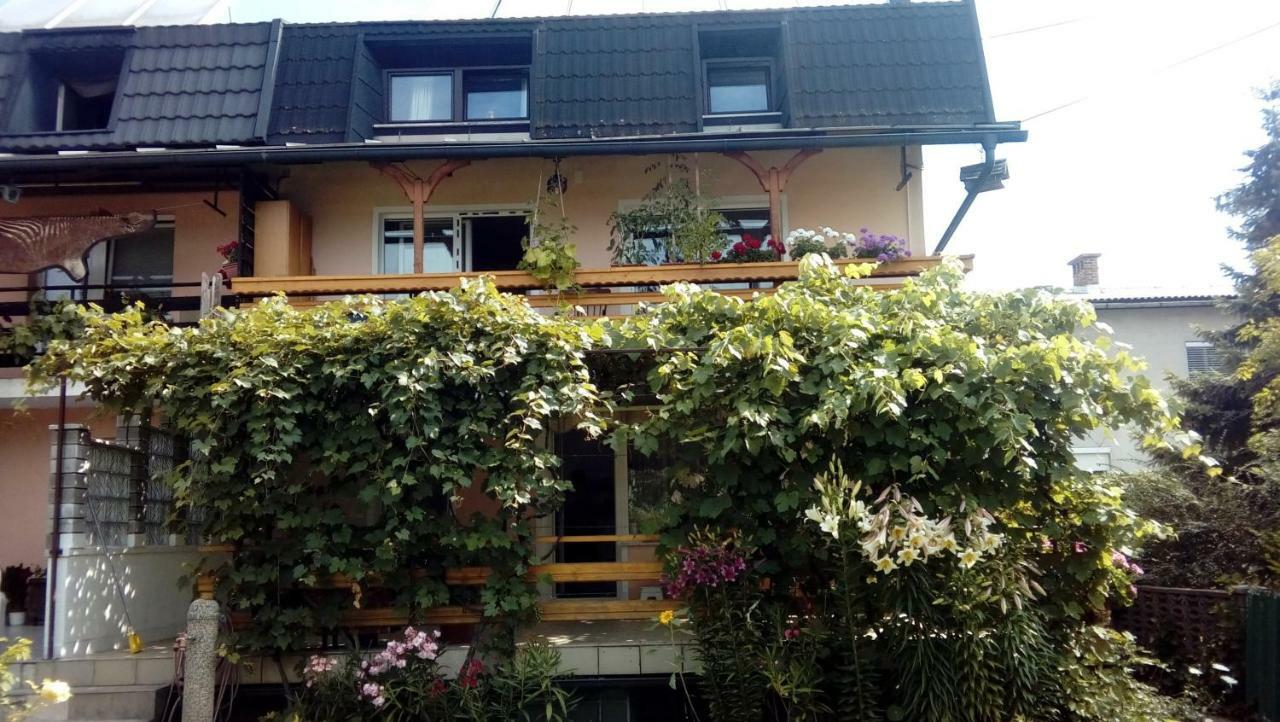 Apartma Meta Radovljica Luaran gambar